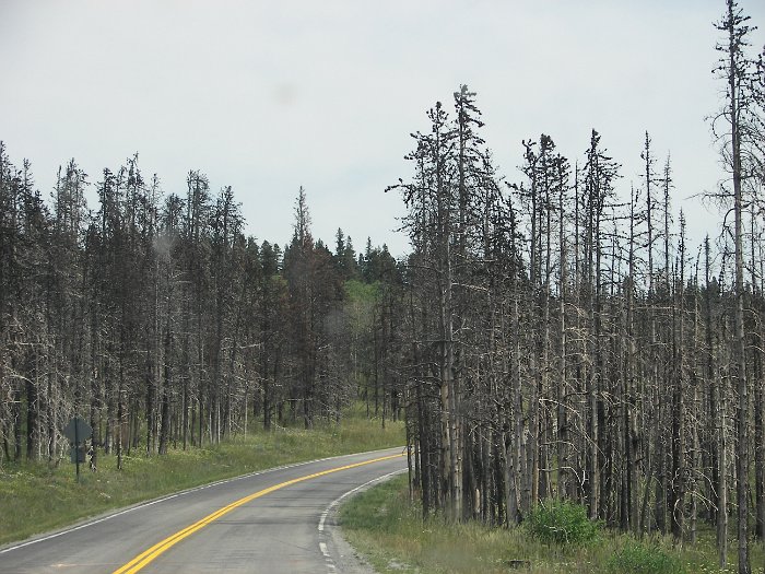 Kanada 2007 Fish Creek-Cardston (34)